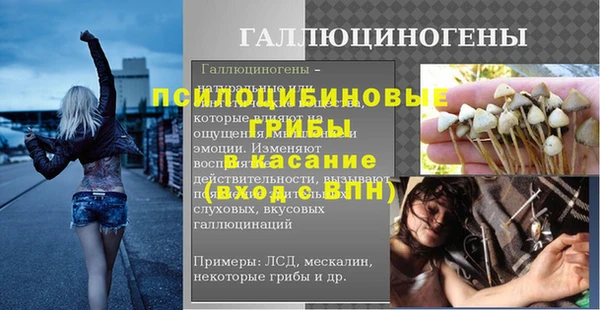 ГАЛЛЮЦИНОГЕННЫЕ ГРИБЫ Алексеевка