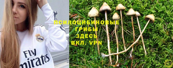 mdpv Алзамай